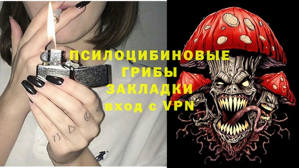 молекула духа Белокуриха